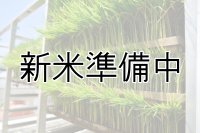 農業生産法人　(株)ヤマグレイン　令和5年産　埼玉県吉見町産米